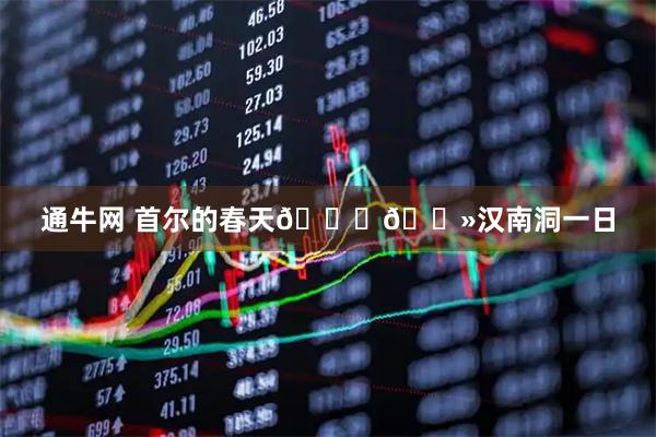 通牛网 首尔的春天🙌🏻汉南洞一日