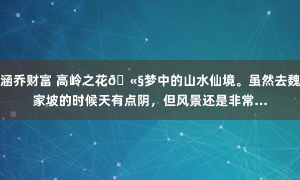 涵乔财富 高岭之花🫧梦中的山水仙境。虽然去魏家坡的时候天有点阴，但风景还是非常...