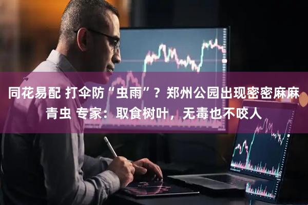 同花易配 打伞防“虫雨”？郑州公园出现密密麻麻青虫 专家：取食树叶，无毒也不咬人