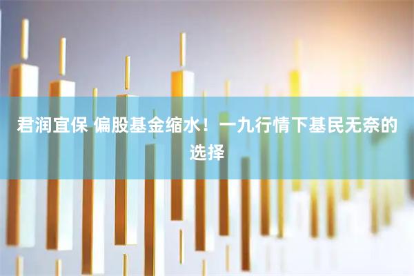 君润宜保 偏股基金缩水！一九行情下基民无奈的选择